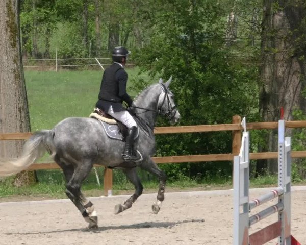 Reitturnier Alvern 2023