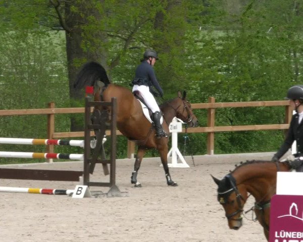 Reitturnier Alvern 2023
