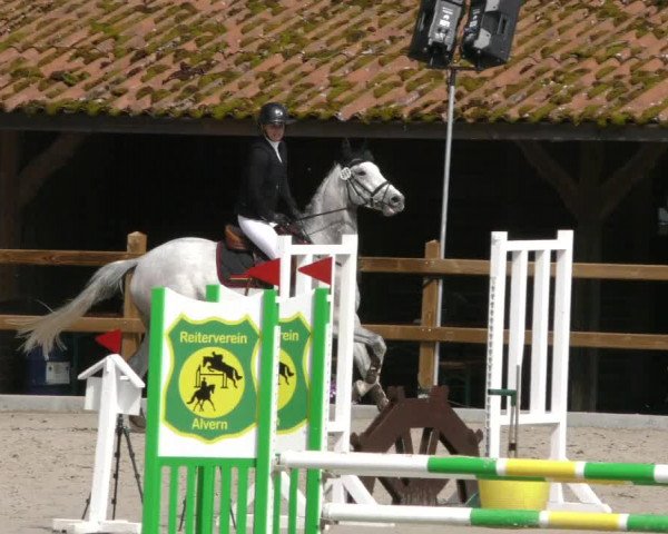 Reitturnier Alvern 2023