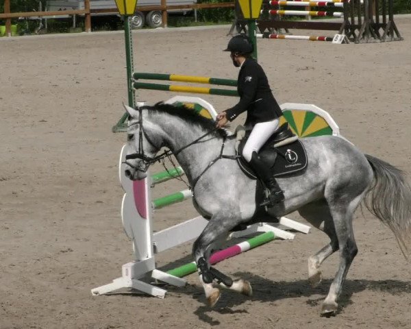 Reitturnier Alvern 2023
