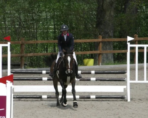 Reitturnier Alvern 2023