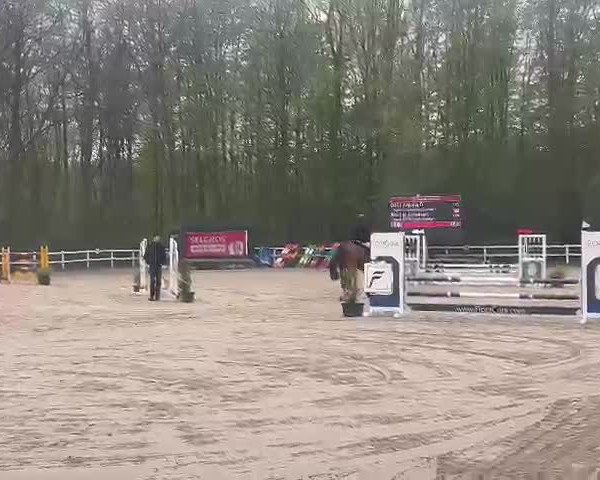 Reitturnier Köln-Fühlingen 2023