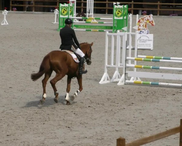 Reitturnier Alvern 2023