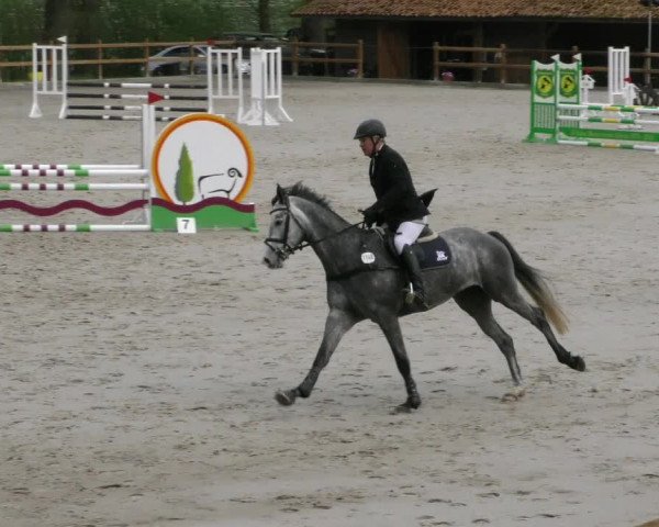 Reitturnier Alvern 2023
