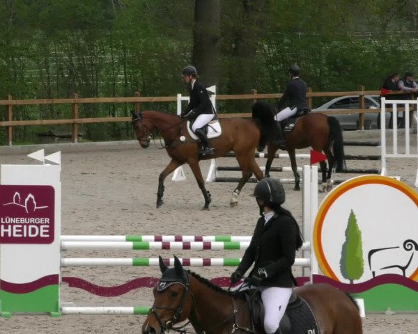 Reitturnier Alvern 2023