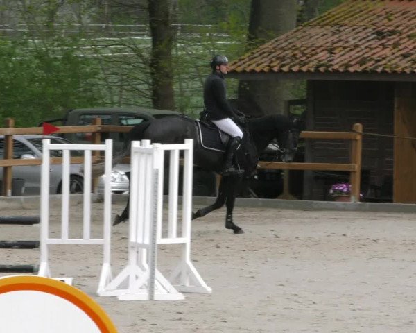 Reitturnier Alvern 2023