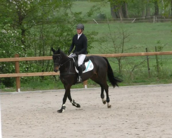 Reitturnier Alvern 2023