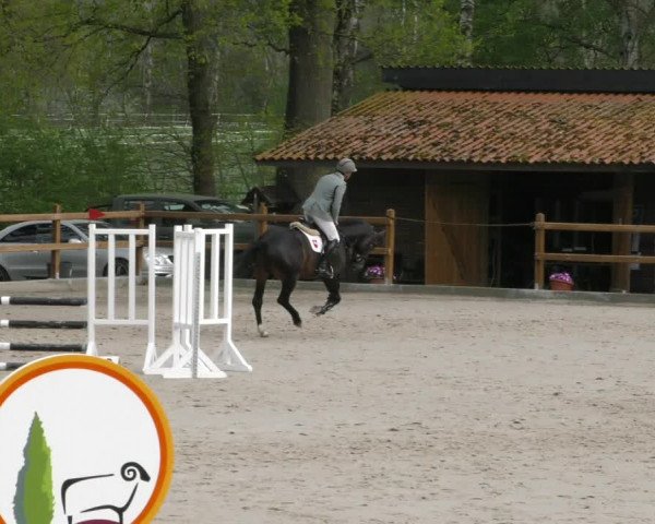 Reitturnier Alvern 2023
