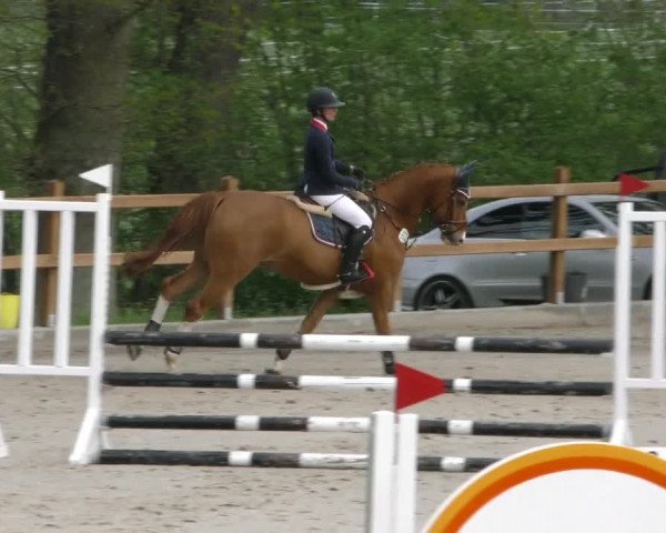Reitturnier Alvern 2023