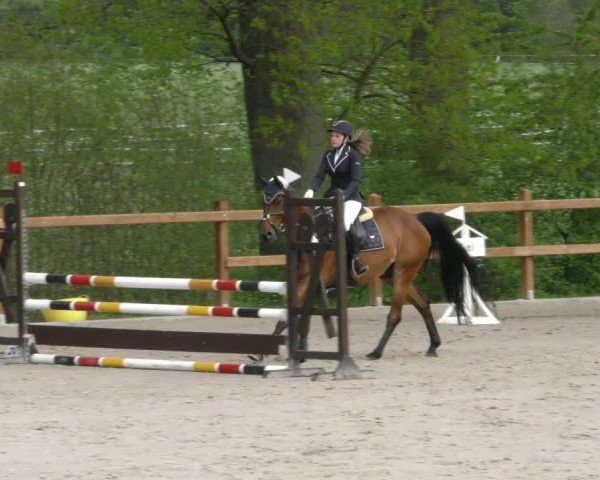 Reitturnier Alvern 2023