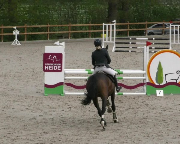 Reitturnier Alvern 2023