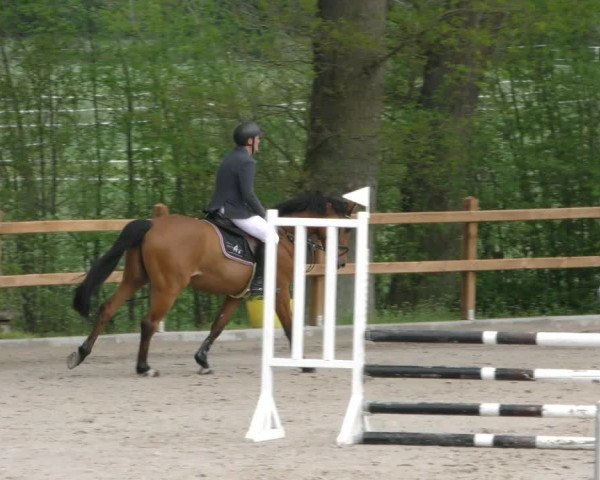 Reitturnier Alvern 2023