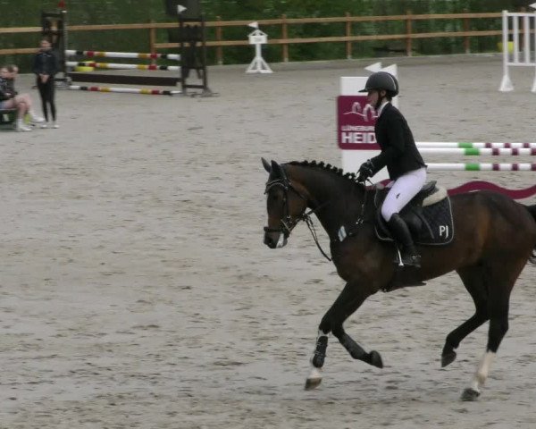Reitturnier Alvern 2023