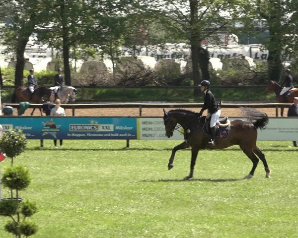 Reitturnier Meppen 2023