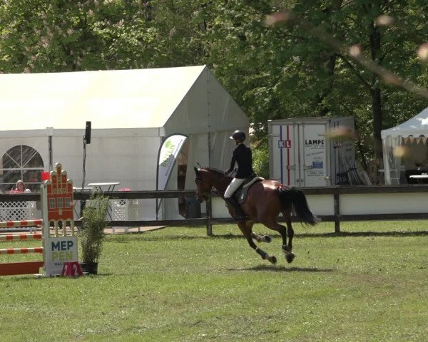 Reitturnier Meppen 2023