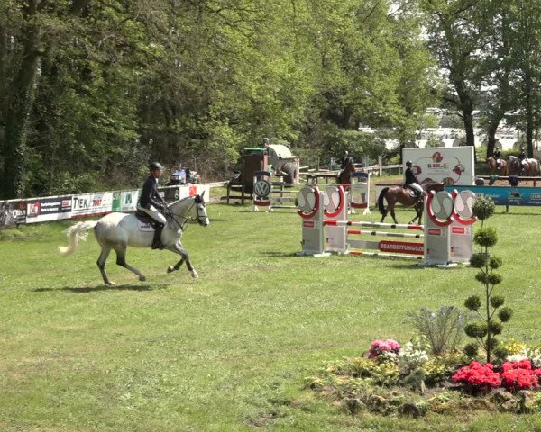 Reitturnier Meppen 2023