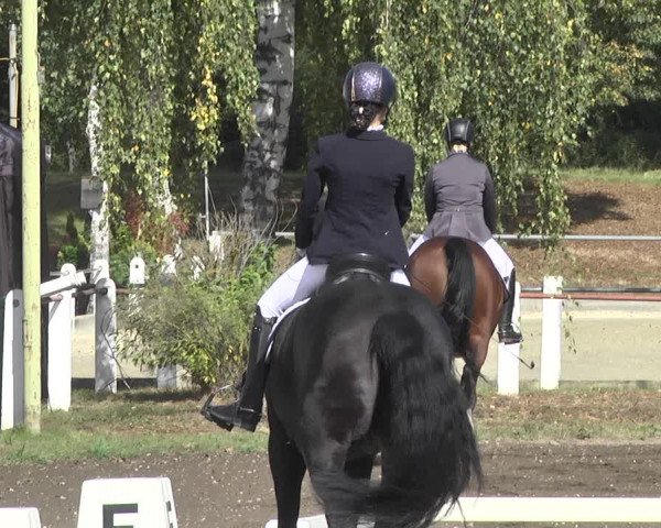 Reitturnier Forst 2021