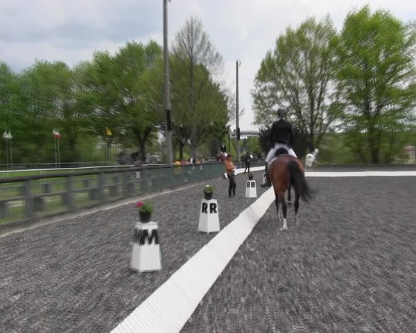Reitturnier Röhrsdorf/ Chemnitz 2023