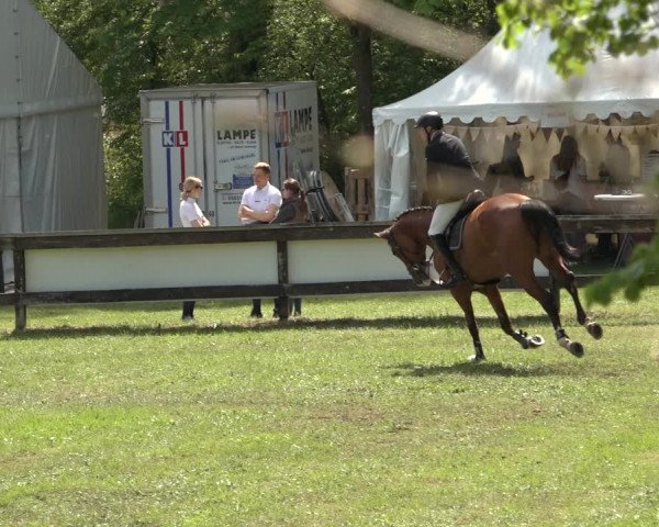 Reitturnier Meppen 2023