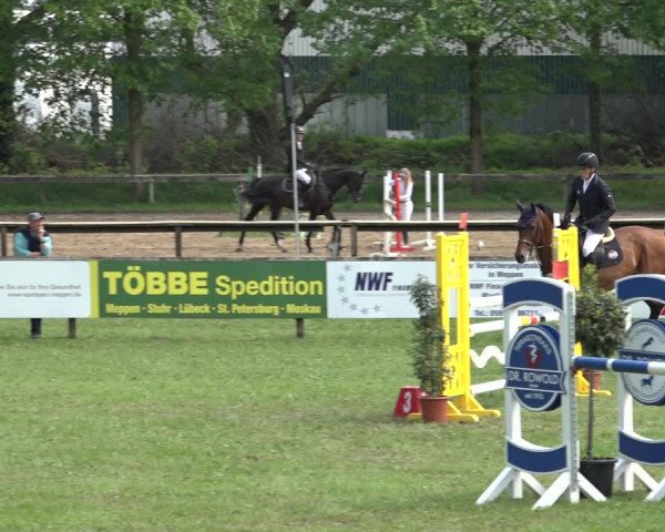 Reitturnier Meppen 2023