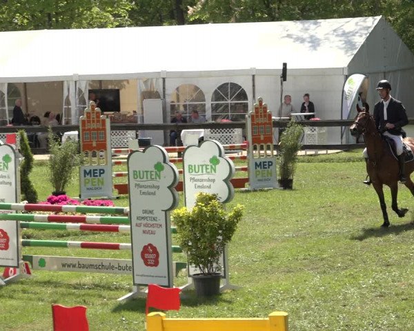 Reitturnier Meppen 2023