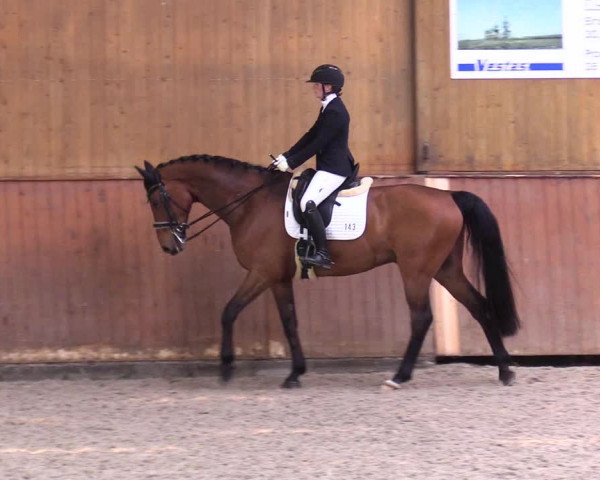 Reitturnier Risum-Lindholm 2023