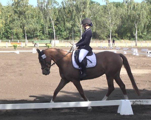 Reitturnier Forst 2021