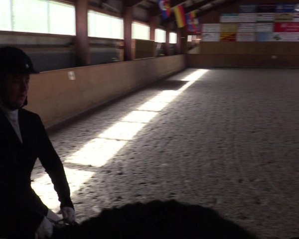 Reitturnier Risum-Lindholm 2023