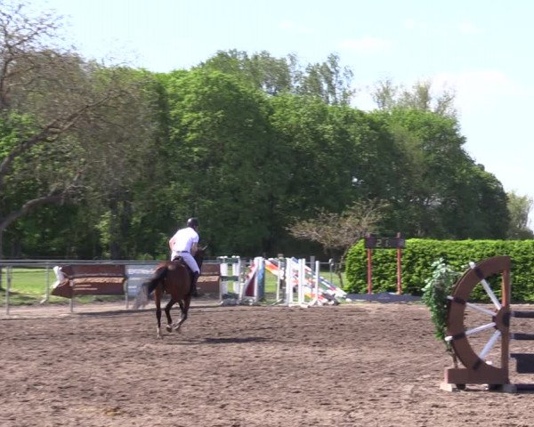 Reitturnier Lentzke - Reitanlage Krehl 2023