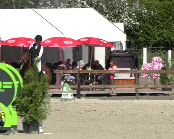 Reitturnier Looper Holz 2023