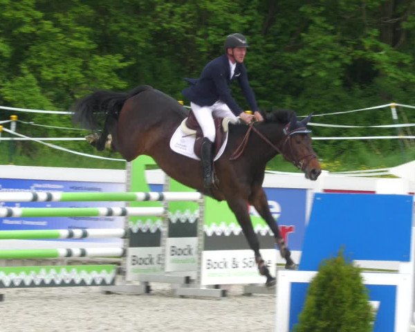 Reitturnier Babenhausen 2023