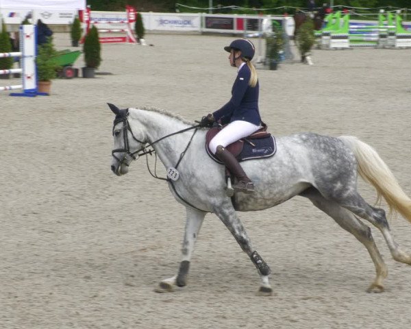 Reitturnier Babenhausen 2023