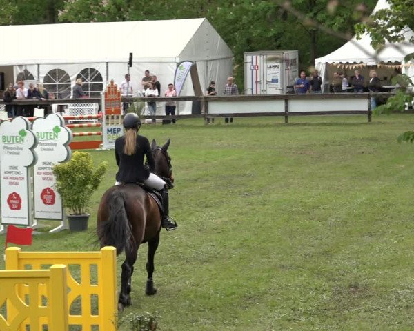Reitturnier Meppen 2023