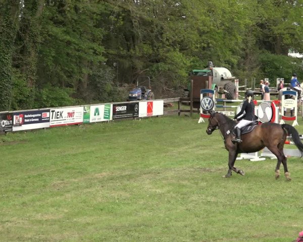 Reitturnier Meppen 2023