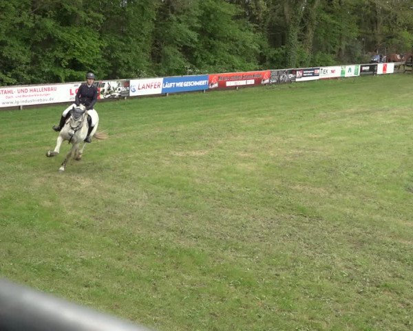 Reitturnier Meppen 2023