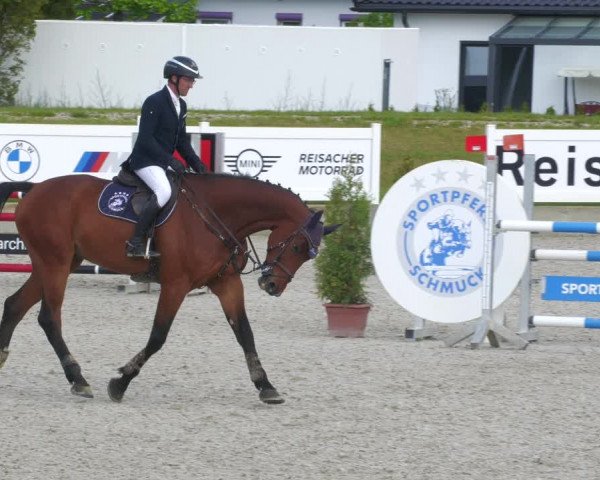 Reitturnier Babenhausen 2023