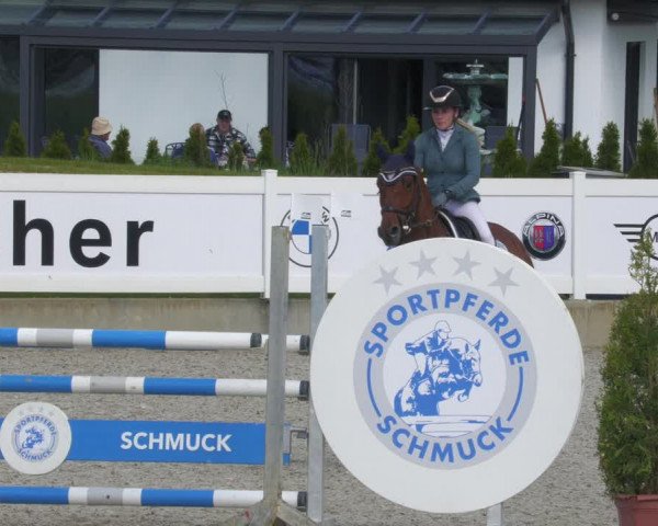 Reitturnier Babenhausen 2023