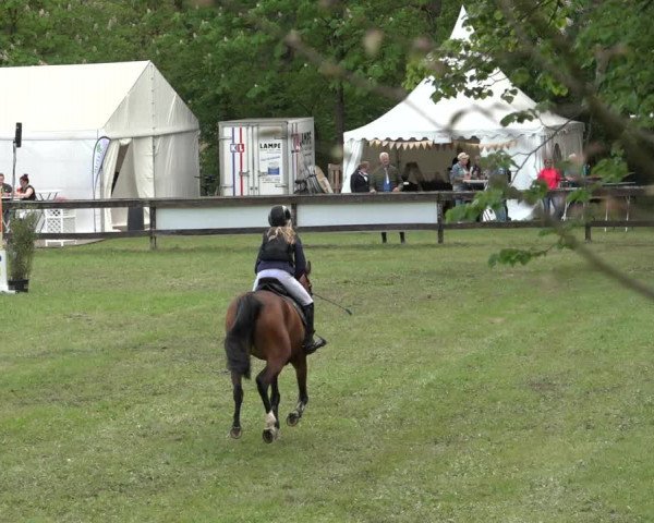 Reitturnier Meppen 2023