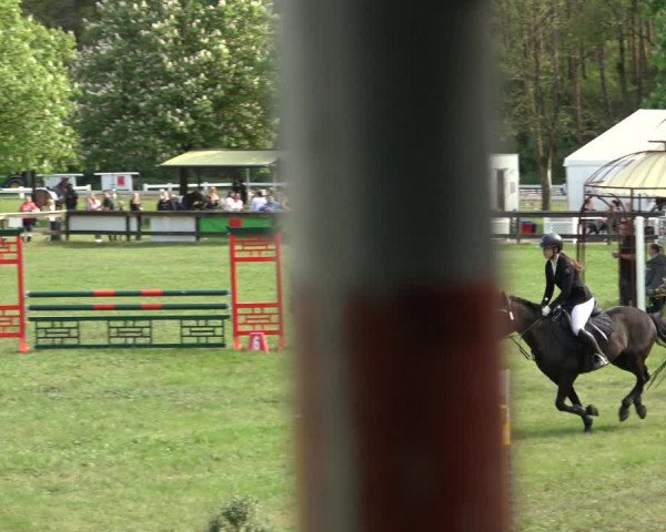 Reitturnier Meppen 2023