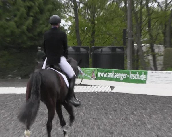 Reitturnier Röhrsdorf/ Chemnitz 2023