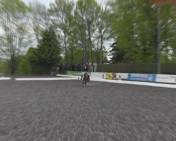 Reitturnier Röhrsdorf/ Chemnitz 2023