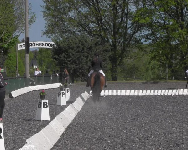 Reitturnier Röhrsdorf/ Chemnitz 2023