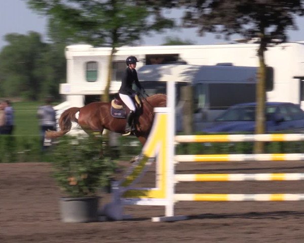 Reitturnier Lentzke - Reitanlage Krehl 2023