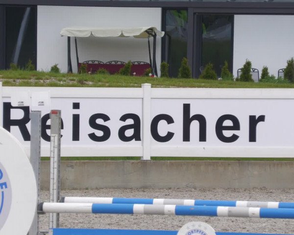 Reitturnier Babenhausen 2023