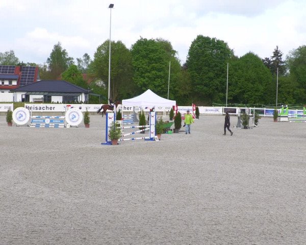 Reitturnier Babenhausen 2023