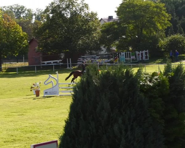 Greppiner Derby 2021