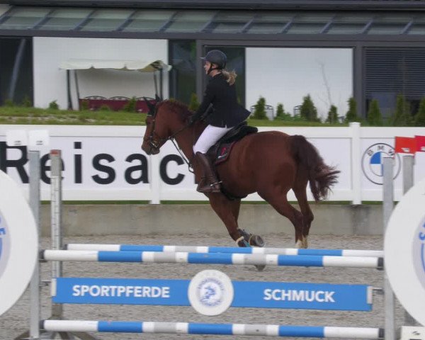 Reitturnier Babenhausen 2023