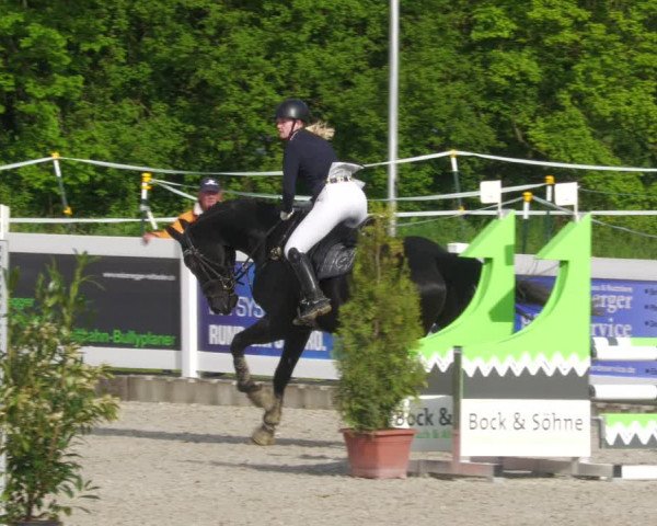 Reitturnier Babenhausen 2023