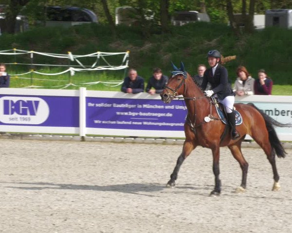 Reitturnier Babenhausen 2023