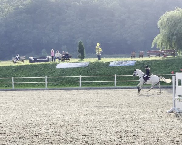 Video of Cadeau de Corrado Rm